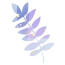 植物の画像