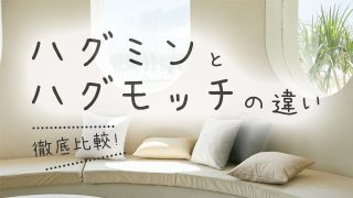 ハグミンとハグモッチの違いとは?それぞれおすすめな人も紹介!
